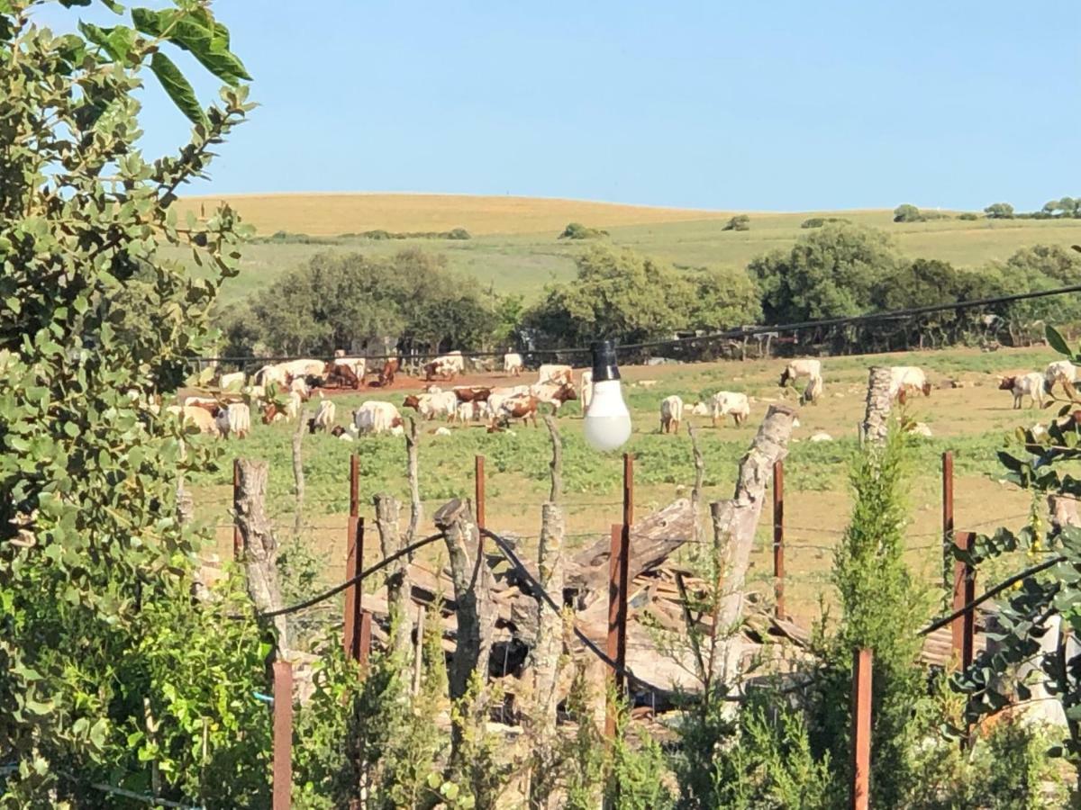 Alojamiento Rural El Soldao Medina-Sidonia Exteriér fotografie
